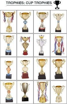 Huge variety of Trophies and Medals available.